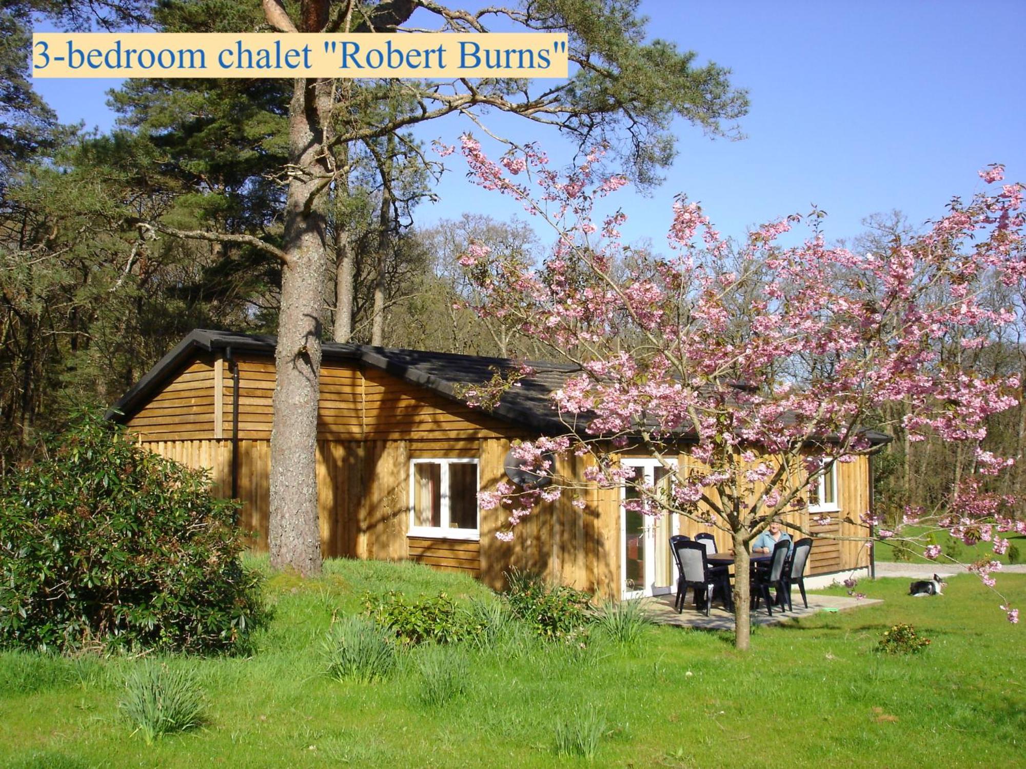 Airdeny Chalets Тинилт Стая снимка